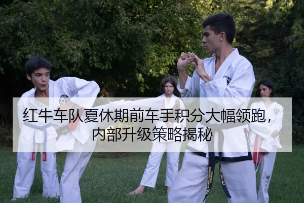 红牛车队夏休期前车手积分大幅领跑，内部升级策略揭秘
